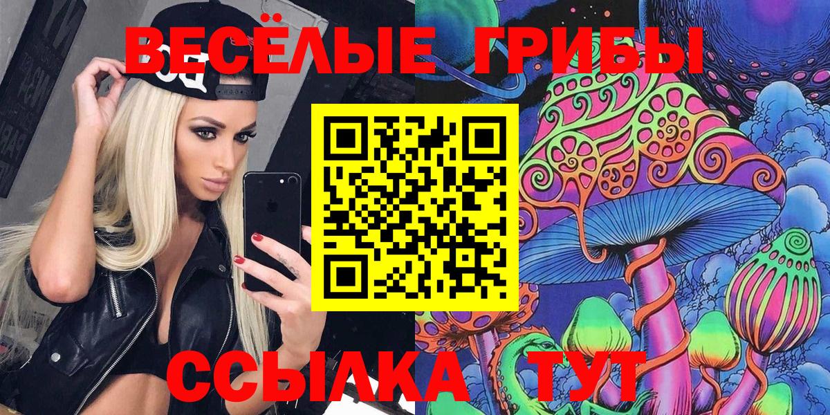 Псилоцибиновые грибы GOLDEN TEACHER  Вход с VPN  Санкт-Петербург 